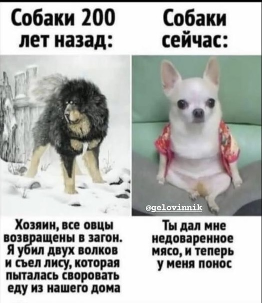 29F48209-9F16-41B1-A762-4FA640D3D703.jpeg