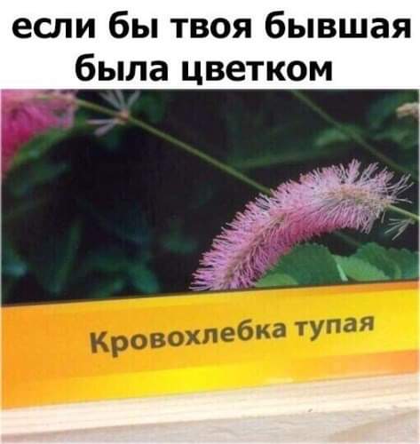 64839876_2852367601444945_6716556959421562880_n.jpg
