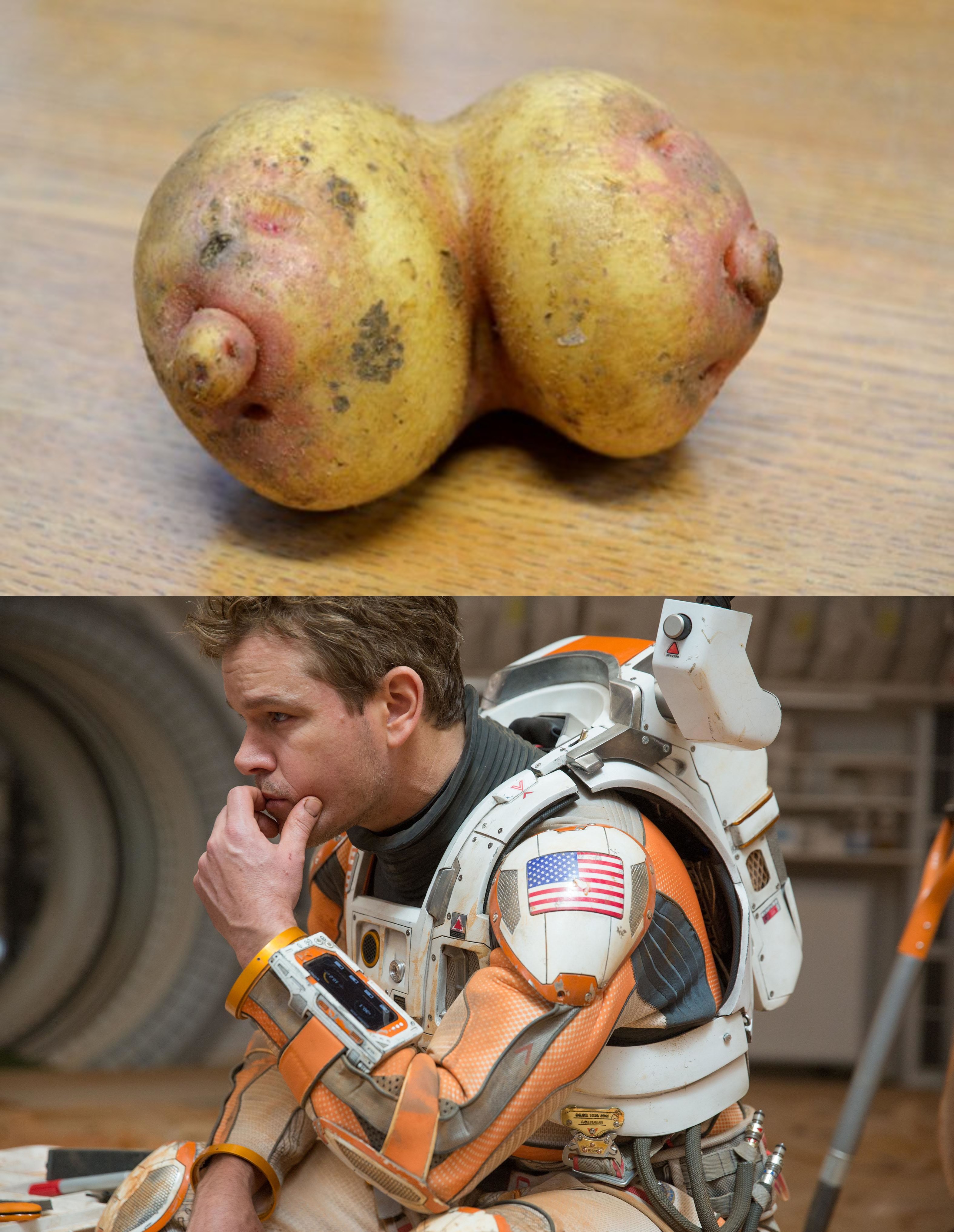 anon-картошка-Марсианин-2848029.jpeg