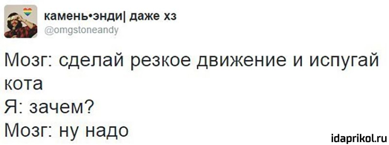 CE4B7424-CE41-4A26-91EB-4FCF8F7DAA8A.jpeg