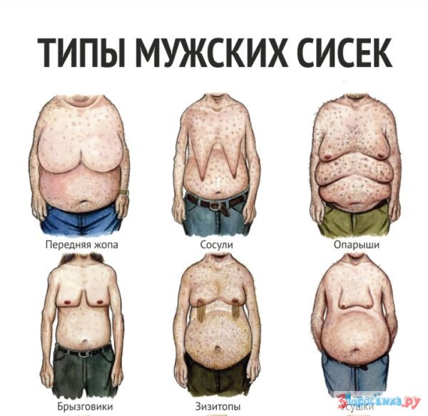 image.jpeg