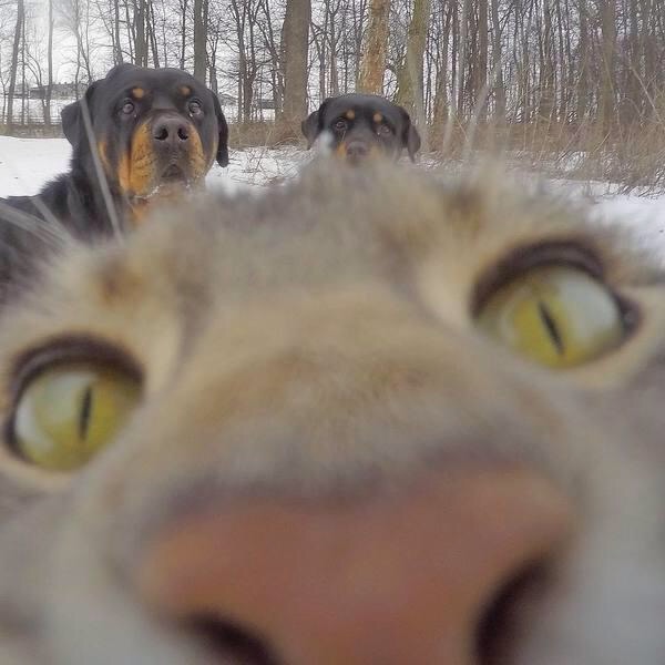 image.jpeg