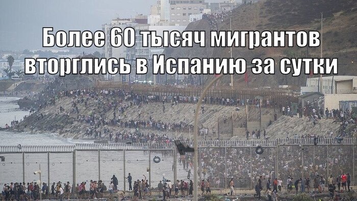 IMG_7725.jpeg