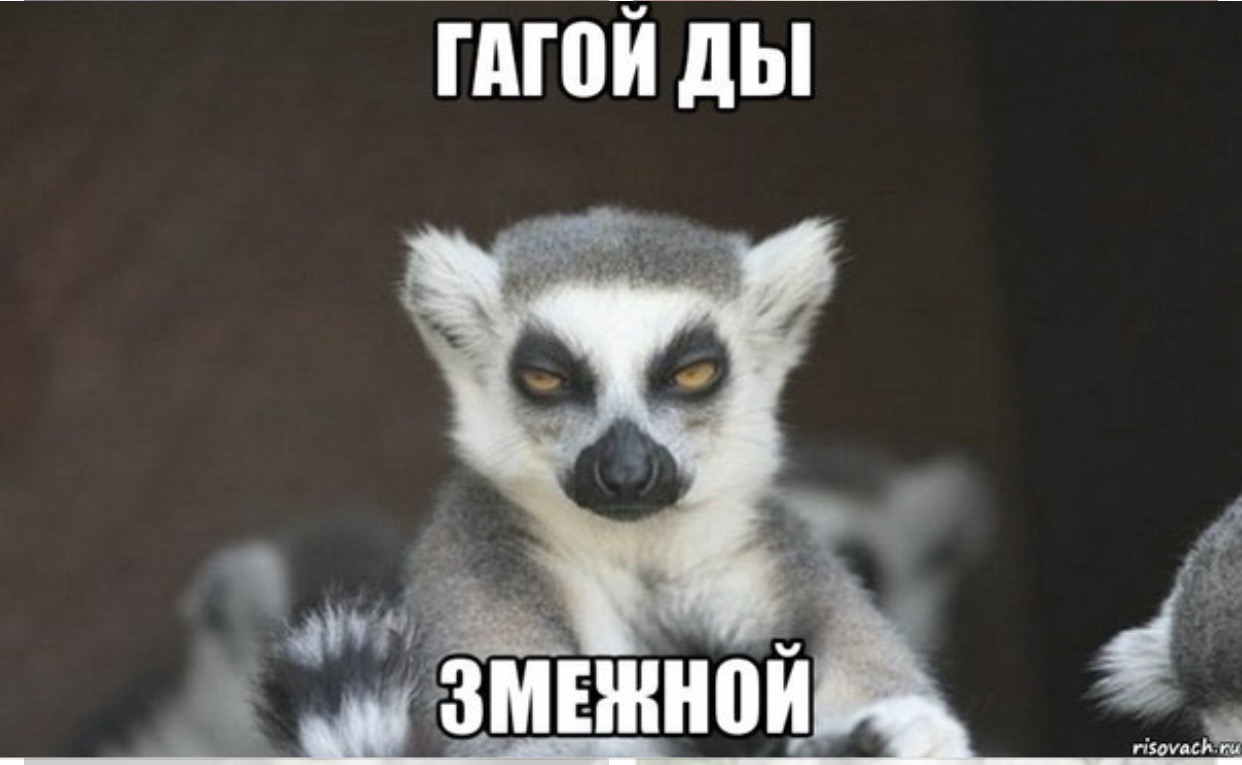 pic.jpeg