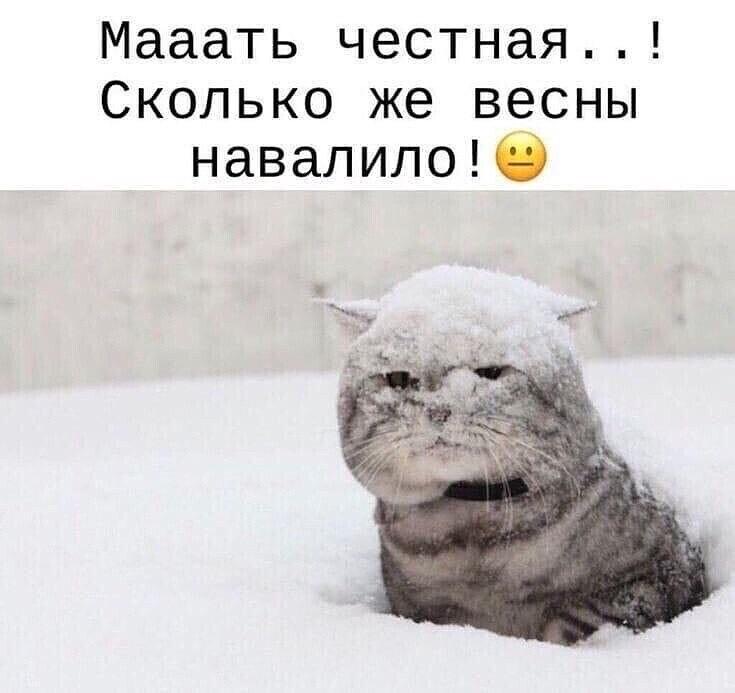 pic.jpeg