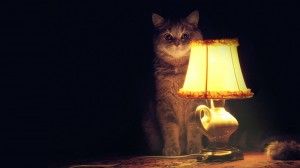 pic.jpeg