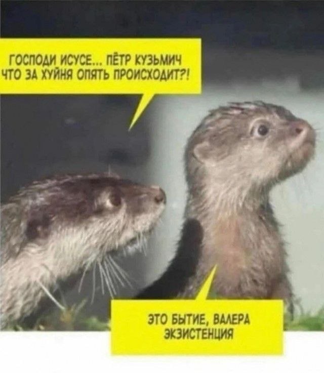 pic.jpeg