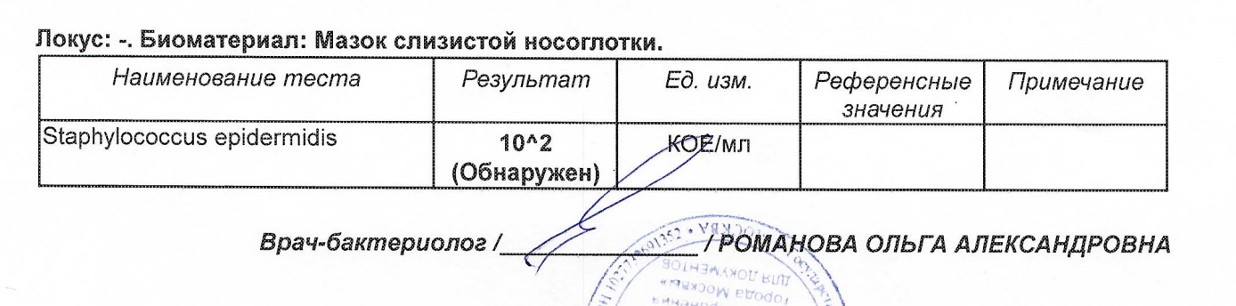Снимок 08.09.2023 в 15.31 (1).jpeg