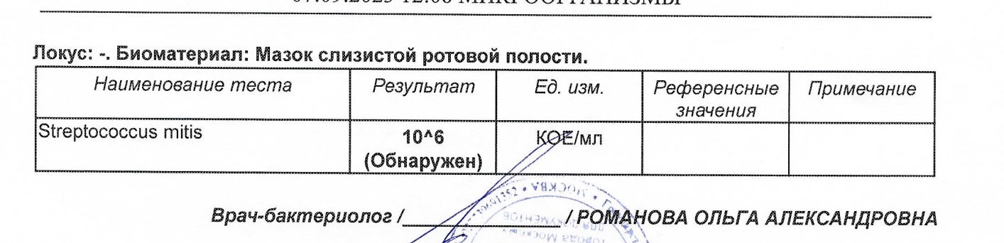 Снимок 08.09.2023 в 15.31.jpeg