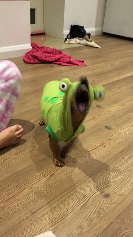[​IMG]