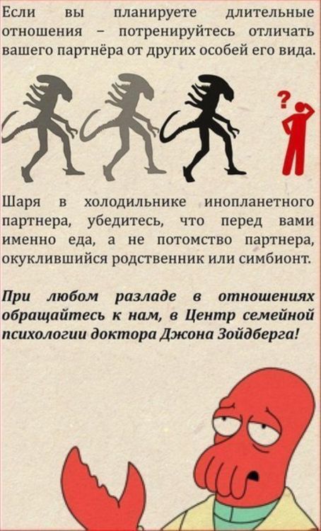 pimpandhostcom-сеть IMG ~~~~ х 