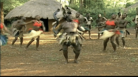 Пляшет скачет. Зулусы шаман. Африканские танцы. Танцы африканских племен.