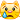 Crying Cat